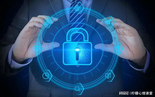 网络上的成功经验在信息安全软件开发中是否可靠？